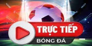 Dễ dàng thao tác khi xem trực tiếp bóng đá