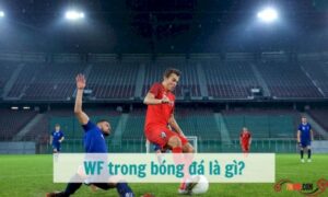 WF trong bóng đá là gì?