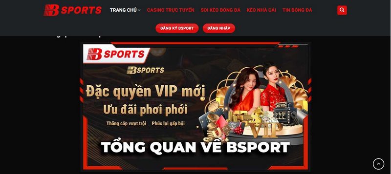 Tổng quan về bsport