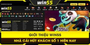 Nhà cái WIN55 được nhiều người lựa chọn