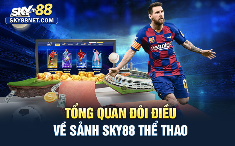 Tổng quan đôi điều về sảnh thể thao Sky88