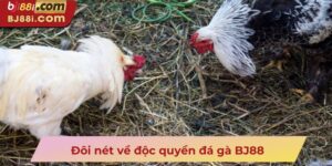 Đôi nét về độc quyền đá gà BJ88