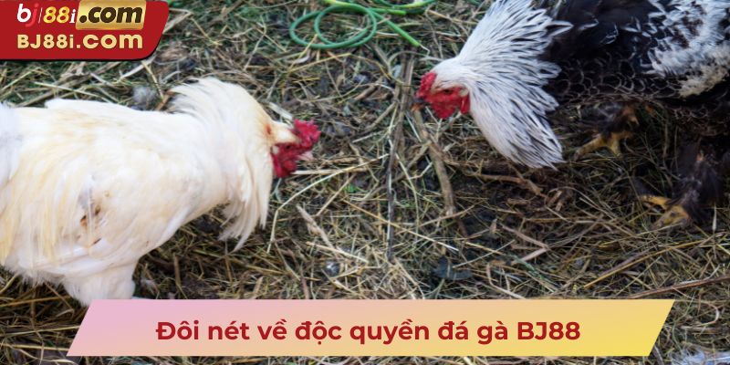 Đôi nét về độc quyền đá gà BJ88