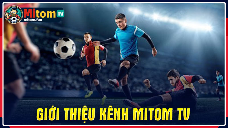 Đặc điểm nổi bật của Mitom TV