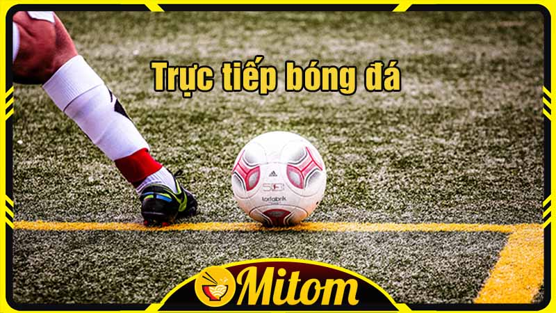 Miêu tả tổng quan về Mitom TV