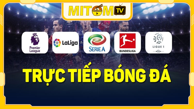 Tương lai và phát triển của Mitom TV