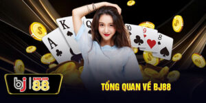 Tổng quan về BJ88