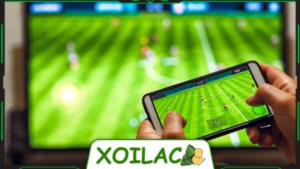 Khán giả xem bóng đá trực tuyến tại Xoilac TV hoàn toàn miễn phí