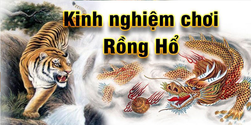 Cách chơi Rồng Hổ tại SunWin dễ ăn tiền