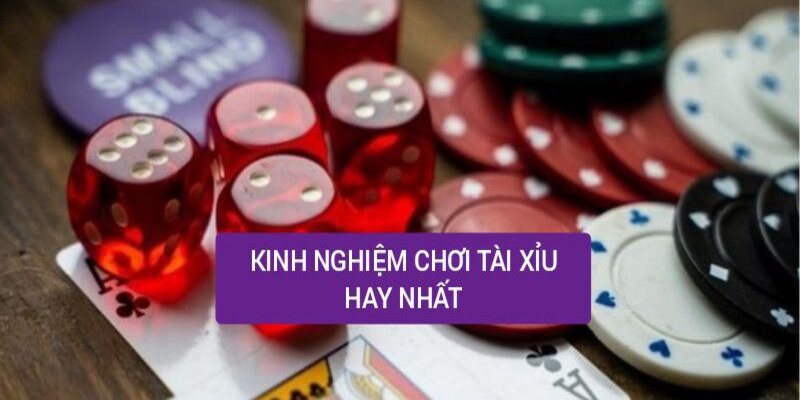 kinh nghiệm chơi tài xỉu kubet