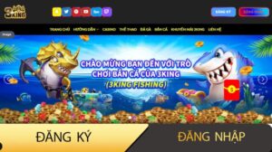 thể thao 3king