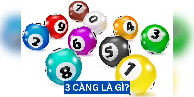 3 càng là gì?