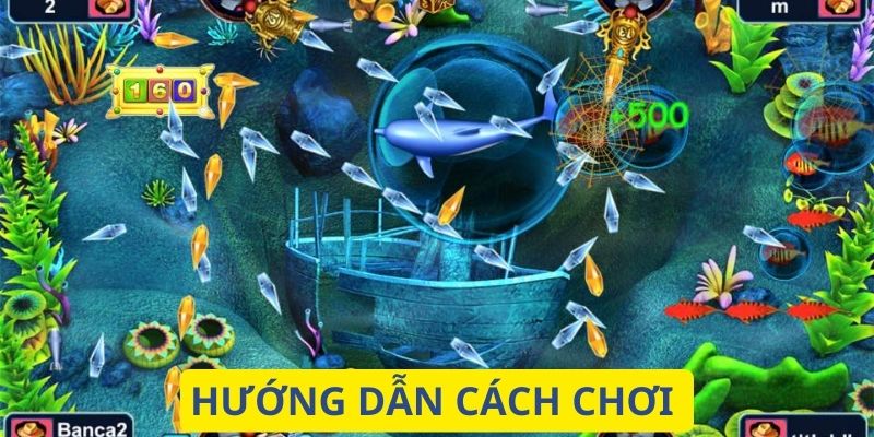 Chỉ dẫn cực chi tiết cho các tân thủ cách chơi game săn cá