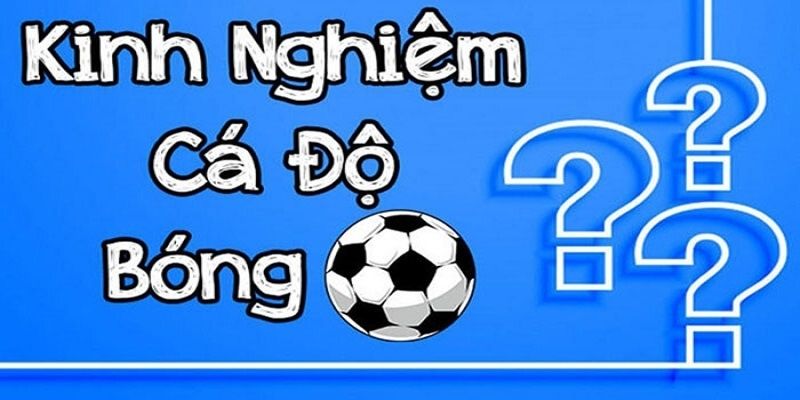 Kinh nghiệm thắng lớn tham gia kèo nhà cái 