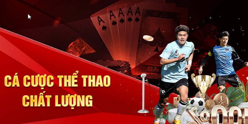 Hệ thống thể thao nhà cái phong phú