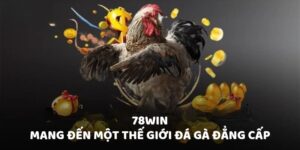 78Win - Mang đến một thế giới đá gà đẳng cấp