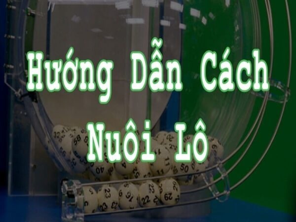 Cách nuôi lô hiệu quả