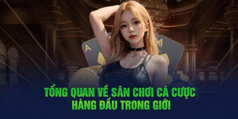 XO88 hỗ trợ app trên thiết bị di động