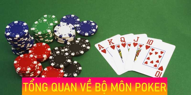 Tổng quan về bộ môn Poker