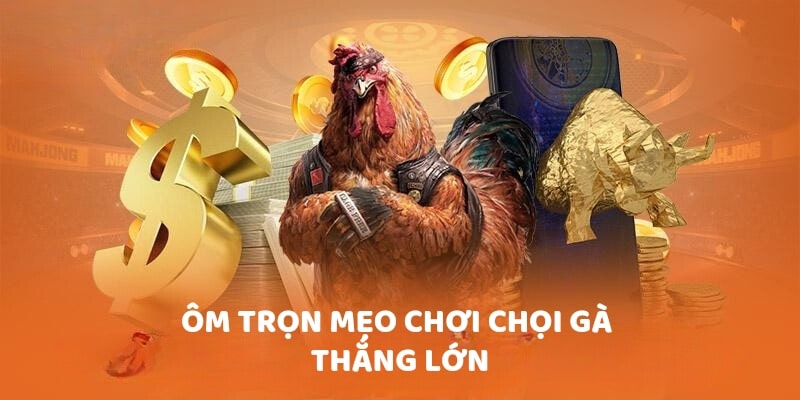 Ôm trọn mẹo chơi chọi gà thắng lớn