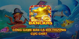 tong-quang-ve-sanh-bancah5