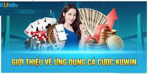 Tổng quan về ứng dụng Kuwin