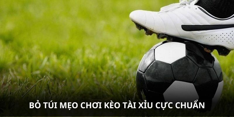 Bỏ túi mẹo chơi kèo Tài Xỉu cực chuẩn