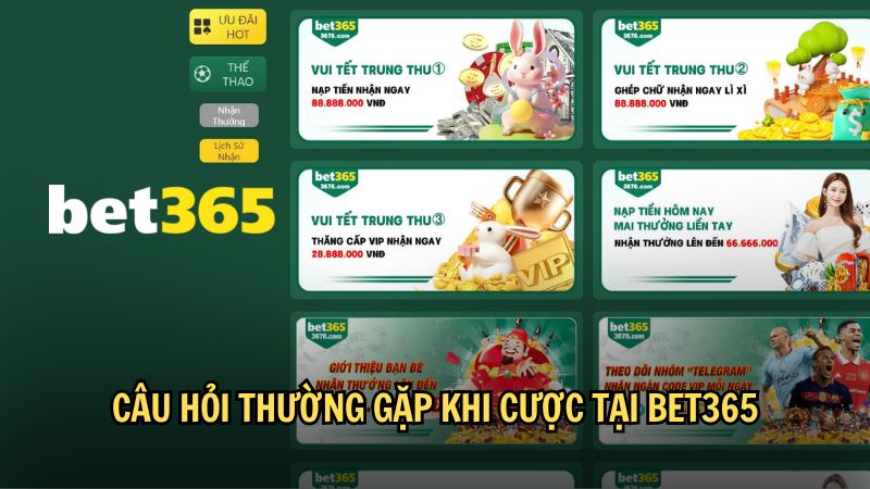 Câu hỏi thường gặp khi cược tại Bet365