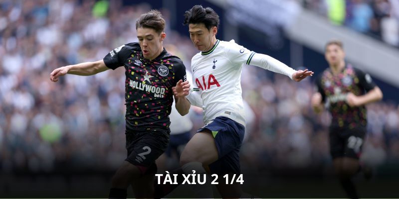 Tài Xỉu 2 1/4