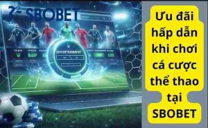 Sbobet cung cấp sân chơi cá cược bóng đá trực tuyến chất lượng, trả thưởng cao