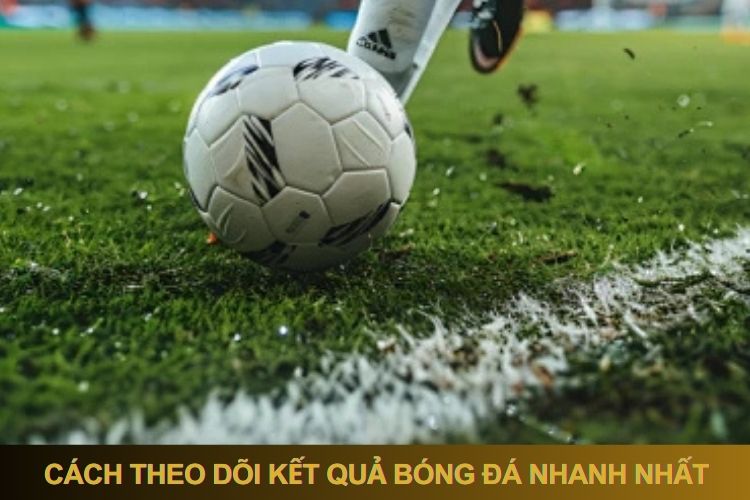 Cách thức theo dõi kết quả bóng đá nhanh nhất