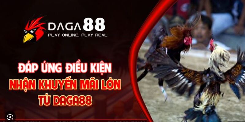 Khuyến Mãi Đá Gà 88