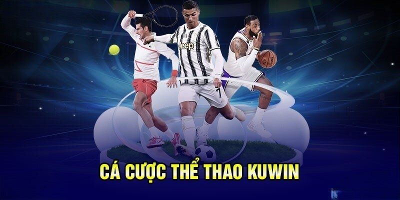 Vì sao thể thao Kuwin luôn thu hút cược thủ tham gia?