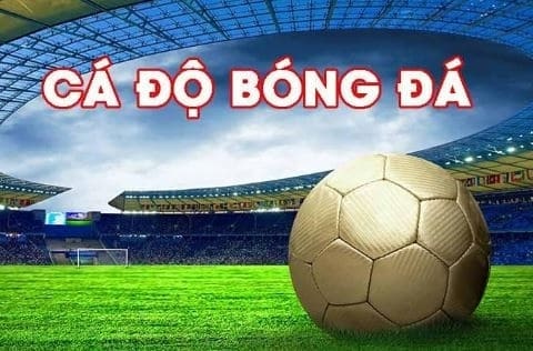 Đôi nét về trang cá độ bóng đá