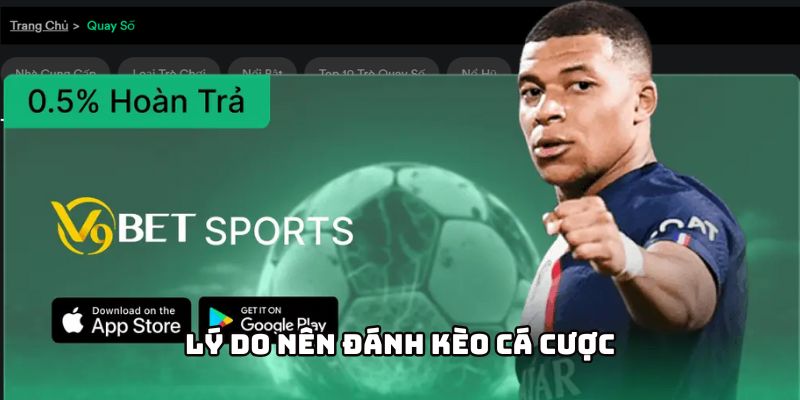 Kèo cá cược thể thao V9BET - Lý do không thể bỏ qua