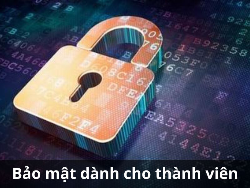 Quy định chính sách bảo mật OK365 dành cho thành viên