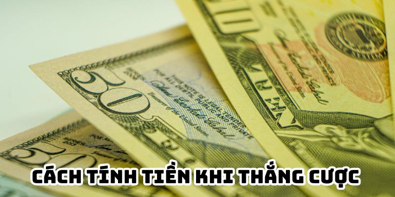 Cách tính tiền khi thắng cược 