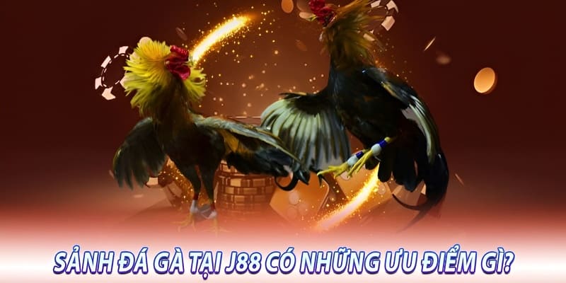 Những điểm mạnh của Đá gà J88 