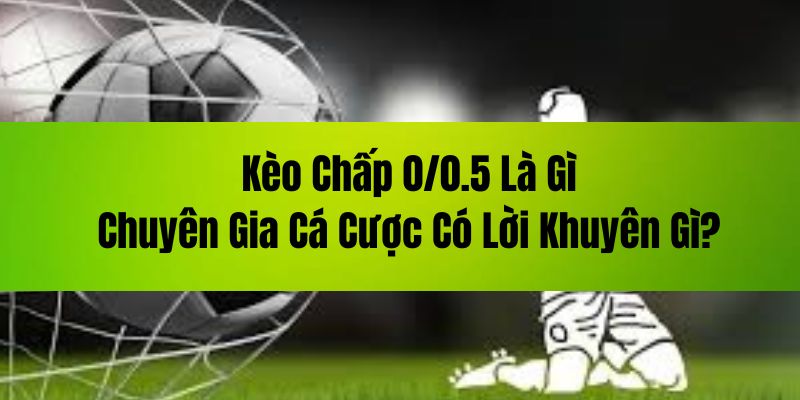 Kèo Chấp 0/0.5 Là Gì