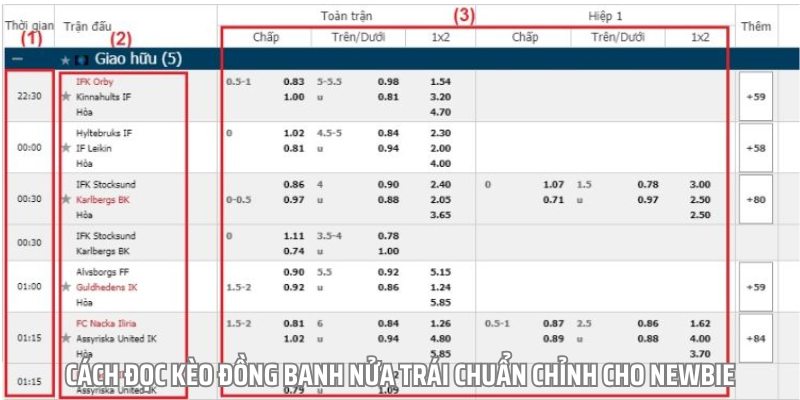 Cách đọc kèo đồng banh nửa trái chuẩn chỉnh cho Newbie