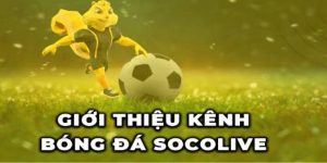 Tại sao nên theo dõi kết quả bóng đá trên Socolive?