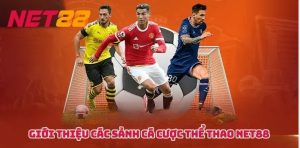 Giới thiệu về cược thể thao Net88