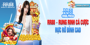 Những thông tin cơ bản về RR88