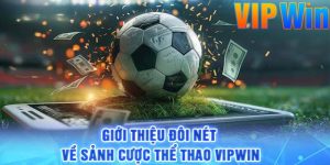 Giới thiệu đôi nét về sảnh cược Thể thao vipwin