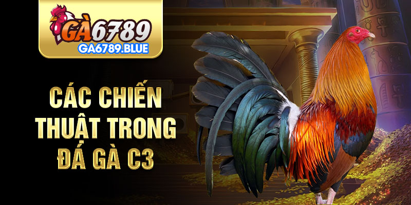 Các chiến thuật trong đá gà C3