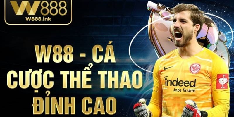 Chương trình VIP của W88 ưu đãi đặc quyền