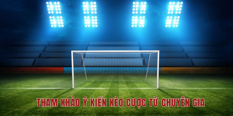 Tận dụng ý kiến của chuyên gia