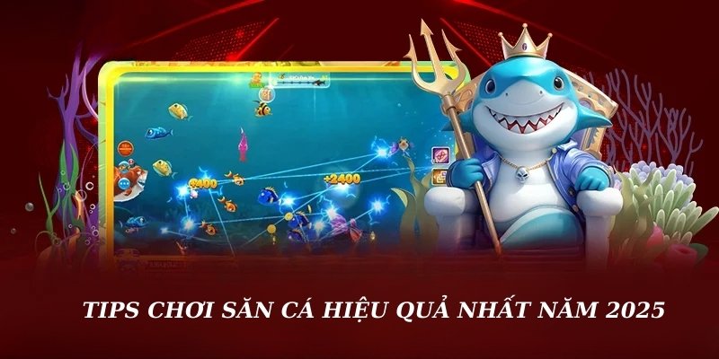 Tips chơi săn cá hiệu quả nhất năm 2025