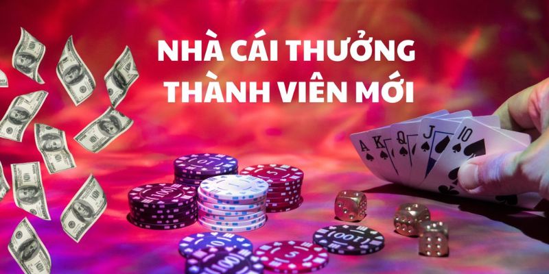 Điều kiện khi đăng ký tài khoản cược tại nhà cái