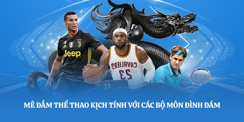 Mê đắm thể thao kịch tính với các bộ môn đình đám